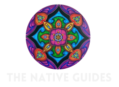 The Native Guides
